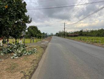 MLS-24-1495 LS VENTA LOTE LA FORTUNA SAN CARLOS MLS-24-1495 LS VENTA LOTE LA FORTUNA SAN CARLOS