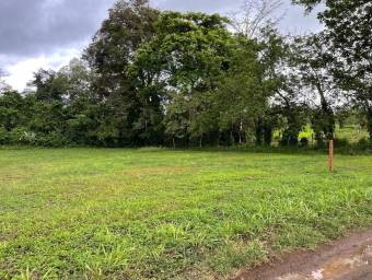 MLS-24-1495 LS VENTA LOTE LA FORTUNA SAN CARLOS MLS-24-1495 LS VENTA LOTE LA FORTUNA SAN CARLOS