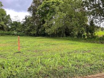 MLS-24-1495 LS VENTA LOTE LA FORTUNA SAN CARLOS MLS-24-1495 LS VENTA LOTE LA FORTUNA SAN CARLOS