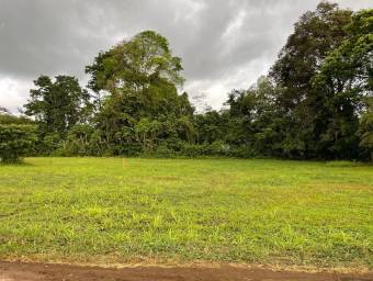 MLS-24-1495 LS VENTA LOTE LA FORTUNA SAN CARLOS MLS-24-1495 LS VENTA LOTE LA FORTUNA SAN CARLOS