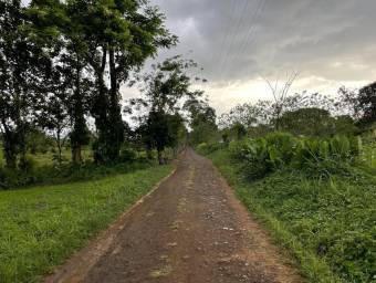 MLS-24-1495 LS VENTA LOTE LA FORTUNA SAN CARLOS MLS-24-1495 LS VENTA LOTE LA FORTUNA SAN CARLOS