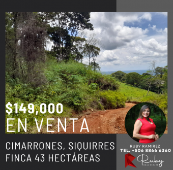 EN VENTA FINCA 43 HECTAREAS EN CIMARRONES, SIQUIRRES