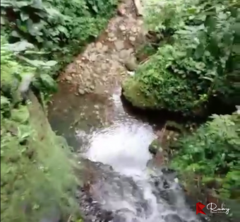 EN VENTA FINCA 43 HECTAREAS EN CIMARRONES, SIQUIRRES