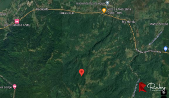 EN VENTA FINCA 43 HECTAREAS EN CIMARRONES, SIQUIRRES