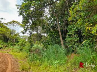 EN VENTA FINCA 43 HECTAREAS EN CIMARRONES, SIQUIRRES