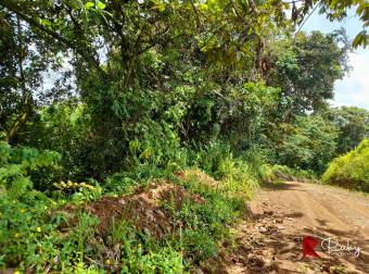 EN VENTA FINCA 43 HECTAREAS EN CIMARRONES, SIQUIRRES