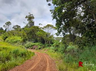 EN VENTA FINCA 43 HECTAREAS EN CIMARRONES, SIQUIRRES