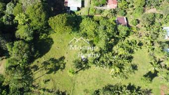 Venta de Lote en Horquetas de Sarapiquí, Heredia