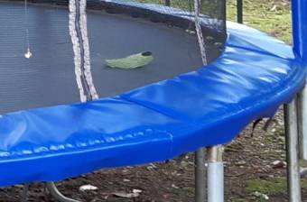 VENTA DE CASA CON PISCINA, PUNTARENAS, CALDERA, RESIDENCIAL VILLAS DE CHAMPAGNE  