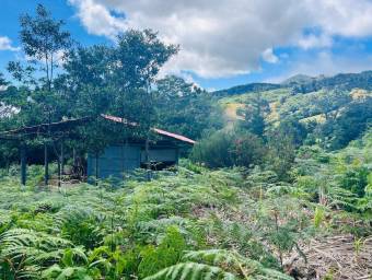 MLS-25-1691 LS VENTA LOTE BARVA HEREDIA MLS-25-1691 LS VENTA LOTE BARVA HEREDIA