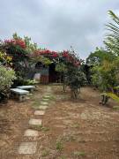 ALAJUELA SAN RAMON VENDO CASA ₡83.000.000