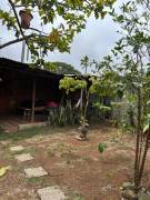 ALAJUELA SAN RAMON VENDO CASA ₡83.000.000