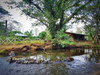 MLS-25-1709 LS VENTA QUINTA TURRUBARES SAN JOSE 