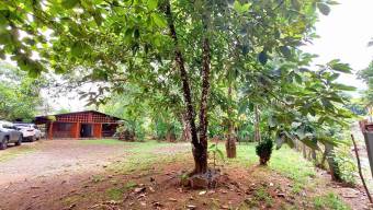 MLS-25-1709 LS VENTA QUINTA TURRUBARES SAN JOSE 