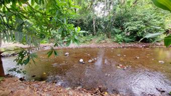 MLS-25-1709 LS VENTA QUINTA TURRUBARES SAN JOSE 