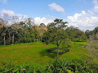 Venta de terreno en Westfalia Matama Limón