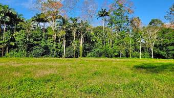 Venta de terreno en Westfalia Matama Limón