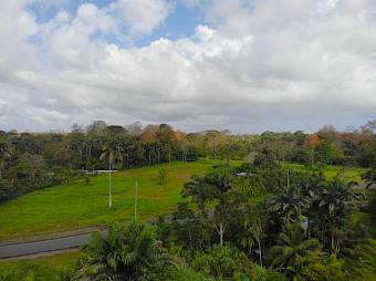 Venta de terreno en Westfalia Matama Limón