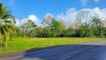 Venta de terreno en Westfalia Matama Limón