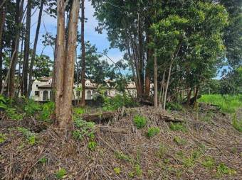 Venta de terreno en Colinas MonteAlegre Cartago Curridabat