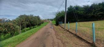 Venta d elote en Residencial Exclusivo Cartago