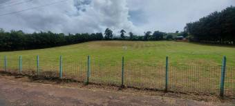 Venta d elote en Residencial Exclusivo Cartago