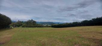 Venta d elote en Residencial Exclusivo Cartago