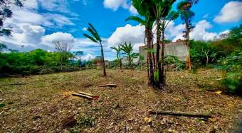 Venta de Lote Uso de Suelo Comercial-Residencial y Condominio en San Pablo de Heredia. RAH 26-1521 