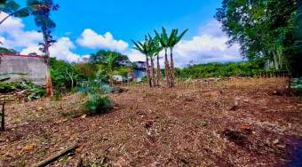Venta de Lote Uso de Suelo Comercial-Residencial y Condominio en San Pablo de Heredia. RAH 26-1521 