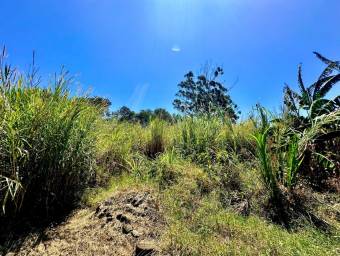 Venta de Lote Uso de Suelo Comercial-Residencial y Condominio en San Pablo de Heredia. RAH 26-1521 