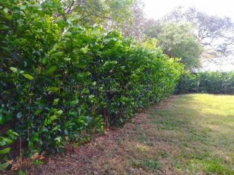 Venta de casa en Santa Cruz Guanacaste