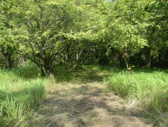 Amplia finca ideal para proyecto turístico o recreativo con río y naciente #25-1227 GS