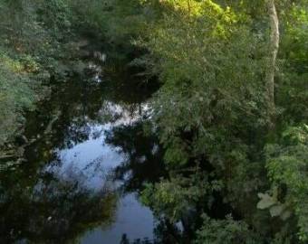 Amplia finca ideal para proyecto turístico o recreativo con río y naciente #25-1227 GS Amplia finca ideal para proyecto turístico o recreativo con río y naciente #25-1227 GS