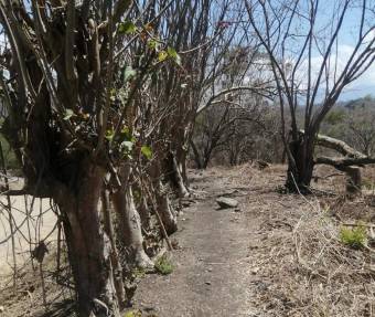 Amplia finca ideal para proyecto turístico o recreativo con río y naciente #25-1227 GS Amplia finca ideal para proyecto turístico o recreativo con río y naciente #25-1227 GS