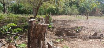 MLS-26-1603 VENTA LOTE SANTA CRUZ GUANACASTE