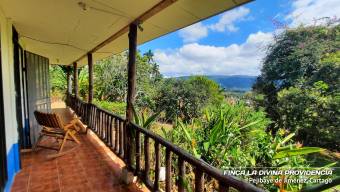  ¡Paraíso Natural en Pejibaye! Finca Espectacular con Casa y Vistas Únicas
