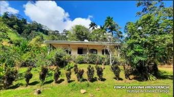  ¡Paraíso Natural en Pejibaye! Finca Espectacular con Casa y Vistas Únicas