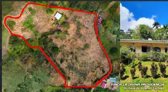  ¡Paraíso Natural en Pejibaye! Finca Espectacular con Casa y Vistas Únicas