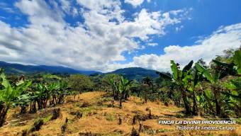 ¡Paraíso Natural en Pejibaye! Finca Espectacular con Casa y Vistas Únicas