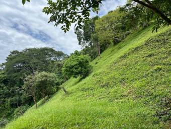 Attractive lot for sale in Athens, incredible opportunity