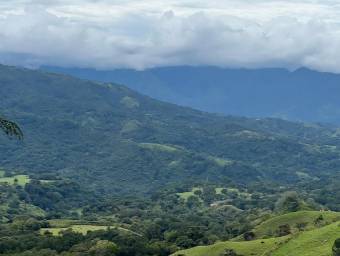 Attractive lot for sale in Athens, incredible opportunity