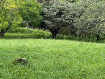 Attractive lot for sale in Athens, incredible opportunity