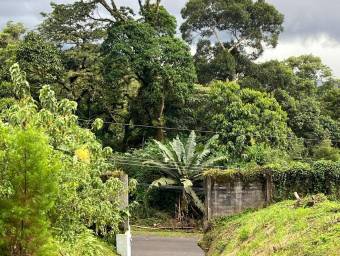 Se vende lote residencial en Cartago