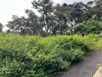 Se vende lote residencial en Cartago