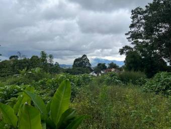 Se vende lote residencial en Cartago