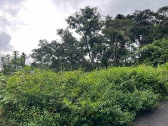 Se vende lote residencial en Cartago