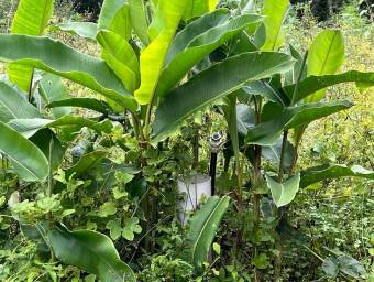 Se vende lote residencial en Cartago