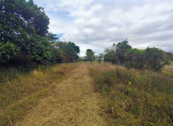 Venta de Lote de 1455mts en Desamparados de Alajuela 26-1771