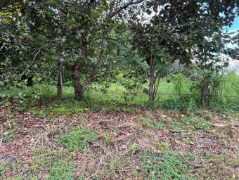 Venta de lote en San Pablo de Heredia