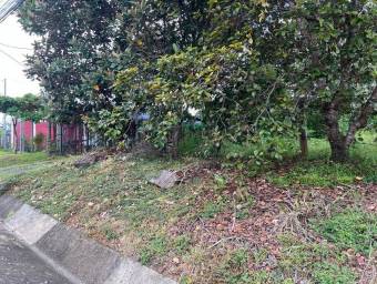 Venta de lote en San Pablo de Heredia